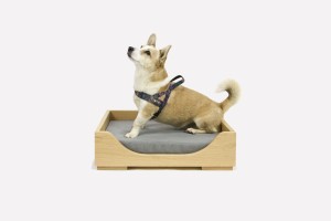 INI pet bed 